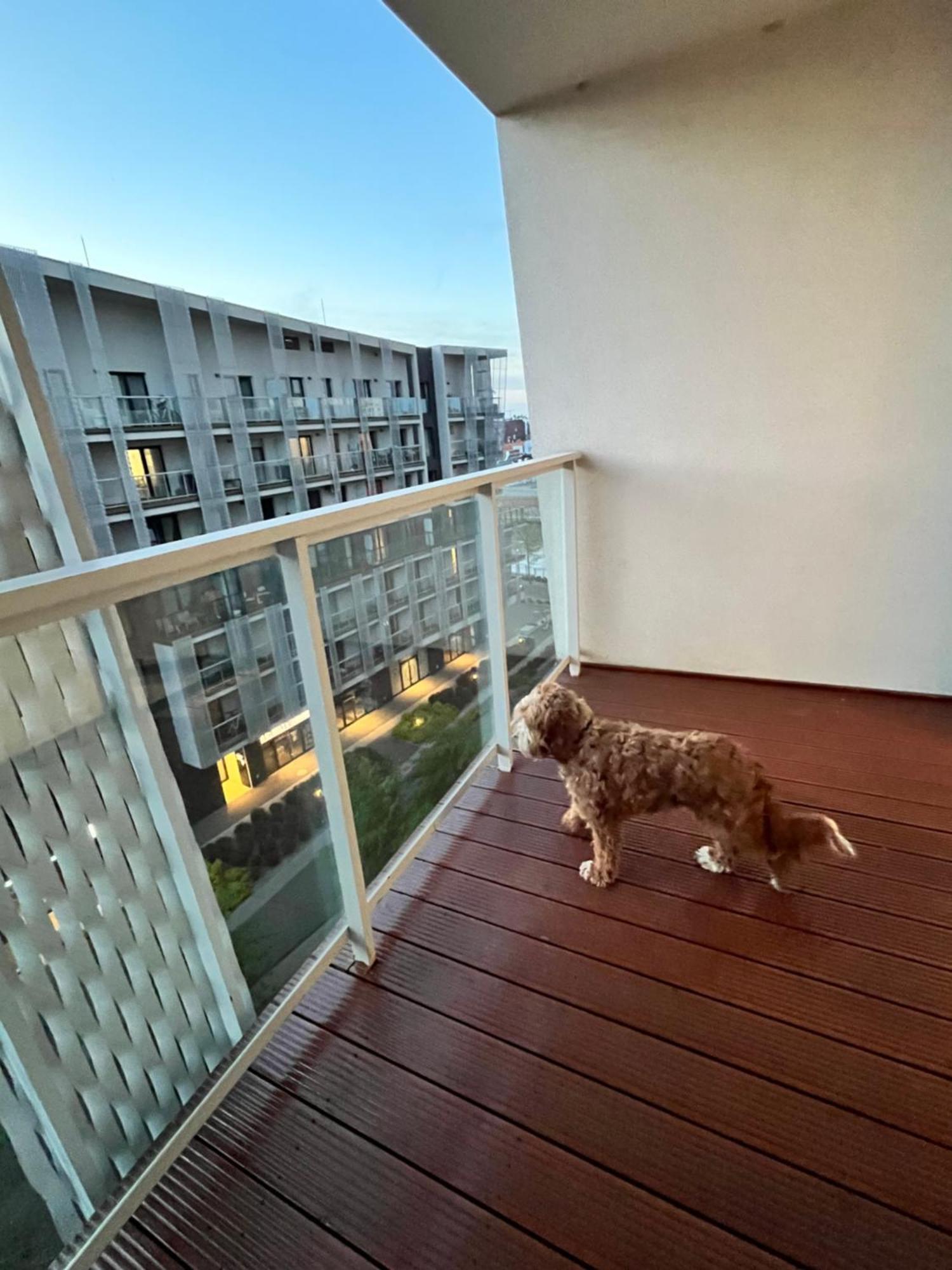 Family House By The River Odra -Panoramic Terrace - 3Room Apartment With 2 Separate Bedrooms And 2 Balconies By Wroapart-Pl- Perfect For Family & Business Stays วรอตซวาฟ ภายนอก รูปภาพ